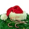 Candy Cane Pen with Peppermint Scented Ink  Tub of 36 Pens