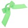 EMC Sports Team Bow Neon Green One Size fits All