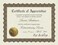 Great Papers Certificate of Appreciation PrePrinted Gold Foil Embossed 85 x 11 6 Count 930000