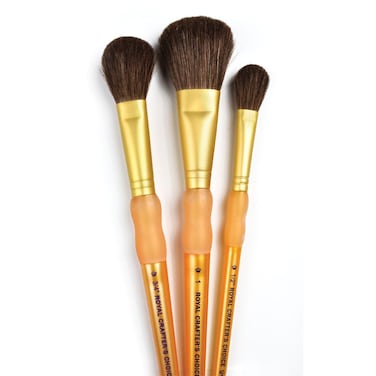 Brush Set Camel 3PkgMop