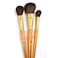 Brush Set Camel 3PkgMop