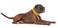 Nervous Give Me Space Yellow Colour Coded SM LXL Dog Collars Prevents Accidents by Warning Others of Your Dog in Advance LXL