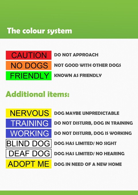 Nervous Give Me Space Yellow Colour Coded SM LXL Dog Collars Prevents Accidents by Warning Others of Your Dog in Advance LXL