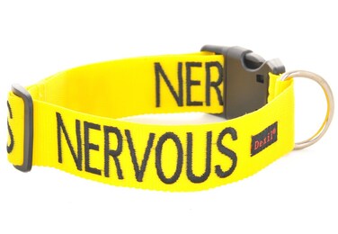 Nervous Give Me Space Yellow Colour Coded SM LXL Dog Collars Prevents Accidents by Warning Others of Your Dog in Advance LXL