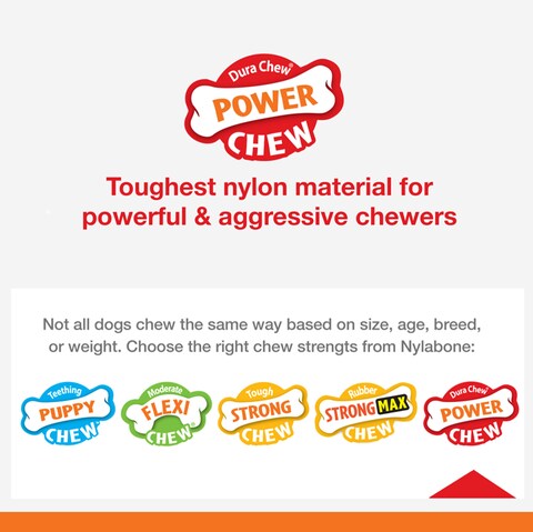 Nylabone Power Chew Barbell Bone Chew Toy for Dogs Durable Dog Toy Peanut Butter Flavor Large  Up to 50 lbs 1 Count