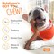 Nylabone Power Chew Barbell Bone Chew Toy for Dogs Durable Dog Toy Peanut Butter Flavor Large  Up to 50 lbs 1 Count
