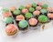 Katgely 24 Pack Cupcake Boxes  Set of 4 Plastic Cupcake Containers