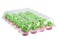 Katgely 24 Pack Cupcake Boxes  Set of 4 Plastic Cupcake Containers