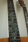 Jockomo Oriental Flower Avalon MIX Guitar Inlay Sticker