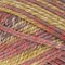 JubileeYarn Chunky Melody Yarn  Bulky Wool Blend  100gSkein  Splitpea Carrot  2 Skeins