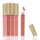 Beauty Concepts Lip Gloss Collection  Shimmering Glossy Lip Makeup Set for a Radiant Finish Pink