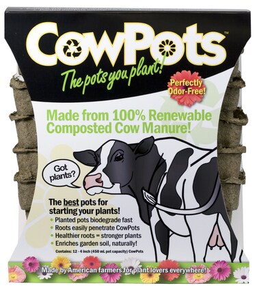 CowPots CP412 Square 4Inch 12 Pack Brown