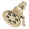 Speakman S2254PB Showerhead 25 GPM Polished Brass