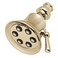 Speakman S2254PB Showerhead 25 GPM Polished Brass