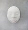 Activa ArtPlaster Premium Plaster5 pounds Casting Compound White Packaging May Vary