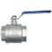 DAN SPEED 2 NPT Female 316 Stainless Steel Full Port Ball Valve Vinyl Handle WOG1000