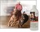 UltraCruzsc395293 Equine Horse Shampoo 32 oz