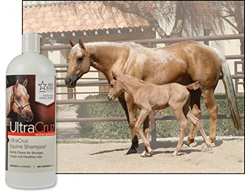 UltraCruzsc395293 Equine Horse Shampoo 32 oz