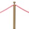 Beistle Red Rope Stanchion Set Awards Night Decorations VIP Party RedBronze Plastic