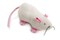 SmartyKat Rat Pack Kicker Plush Catnip Cat Toy  Randomly Selected Color Jumbo