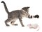 SmartyKat Rat Pack Kicker Plush Catnip Cat Toy  Randomly Selected Color Jumbo
