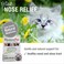HomeoPet Feline Nose Relief Natural Nasal and Sinus Medicine for Cats Pet Medicine 15 Milliliters