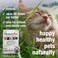 HomeoPet Feline Nose Relief Natural Nasal and Sinus Medicine for Cats Pet Medicine 15 Milliliters