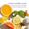 Native Body Wash Contains Naturally Derived Ingredients  For Women  Men Sulfate Paraben  Dye Free Leaving Skin Soft and Hydrated  Citrus  Herbal Musk 18 oz  2 Pk