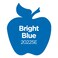 Apple Barrel Acrylic Paint in Assorted Colors 2 Ounce 20225 Bright Blue