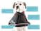 All Four Paws Comfy Cone Pet Cone for Dogs Cats Medium ExtraLong Black  Comfortable Soft Dog Cone Collar Alternative for After Surgery Wound Care Spay Neuter  Dog and Cat Recovery Collar