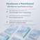 Mediheal Derma Synergy Wrapping Mask for Moisturizing Barrier 10 Packs  Improved Skin Moisturization With Hyaluron Panthenol