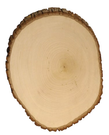 Walnut Hollow Basswood Country Round Extra Large for Woodburning Home Dcor and Rustic Weddings
