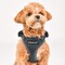 Puppia Authentic RiteFit Harness with Adjustable Neck Medium Royal Blue
