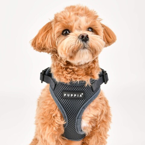 Puppia Authentic RiteFit Harness with Adjustable Neck Medium Royal Blue