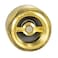 EZFLO Brass InLine Check Valve 12 Inch IPS Stainless Steel Spring 20401LF