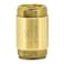 EZFLO Brass InLine Check Valve 12 Inch IPS Stainless Steel Spring 20401LF
