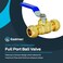 Eastman 12 Inch Compression Heavy Duty Full Port Ball Valve Brass Plumbing Fitting 20096LF