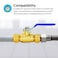 Eastman 12 Inch Compression Heavy Duty Full Port Ball Valve Brass Plumbing Fitting 20096LF