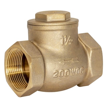 Eastman Brass Swing Check Valve 112 Inch IPS Brass Plumbing Fitting 20429LF