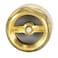 EZFLO Brass InLine Check Valve 1 Inch IPS Stainless Steel Spring 20405LF
