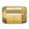 EZFLO Brass InLine Check Valve 1 Inch IPS Stainless Steel Spring 20405LF
