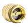 EZFLO Brass InLine Check Valve 1 Inch IPS Stainless Steel Spring 20405LF