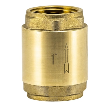 EZFLO Brass InLine Check Valve 1 Inch IPS Stainless Steel Spring 20405LF