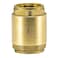 EZFLO Brass InLine Check Valve 1 Inch IPS Stainless Steel Spring 20405LF
