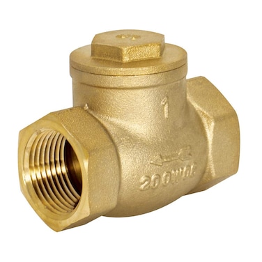 Eastman Brass Swing Check Valve 1 Inch IPS Brass Plumbing Fitting 20425LF