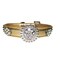 One Tail Four Paws Crystal Medallion Collar Large Gold