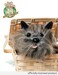 Rubies Wizard of Oz Dorothys Toto In A Basket Costume Accessory 10 x 7 x 5 inches
