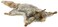 Hansa Flying Squirrel Plush