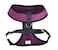 BINGPET No Pull Dog Harness for Small Medium DogsAll Weather Mesh Step in Vest Harness for Small DogsBreathable Mesh Puppy Cat HarnessesStepin Air Dog Harness for for Small DogsPurpleMedium