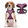 BINGPET No Pull Dog Harness for Small Medium DogsAll Weather Mesh Step in Vest Harness for Small DogsBreathable Mesh Puppy Cat HarnessesStepin Air Dog Harness for for Small DogsPurpleMedium